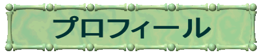 �v���t�B�[�� 
